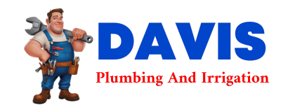 Trusted plumber in VIKING